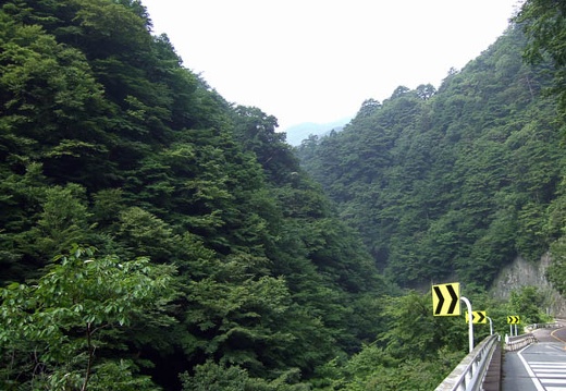 200707290827-DSCF2379.jpg