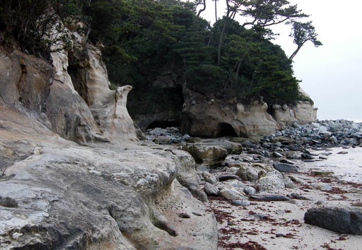 200709090532-DSCF0067.jpg