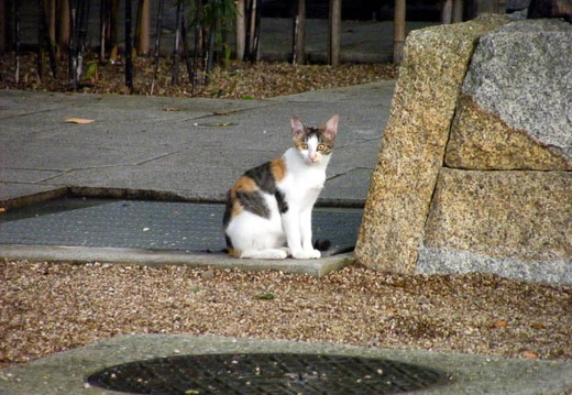 200710050631-DSCF0818.jpg