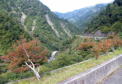 200710110855-DSCF2143.jpg