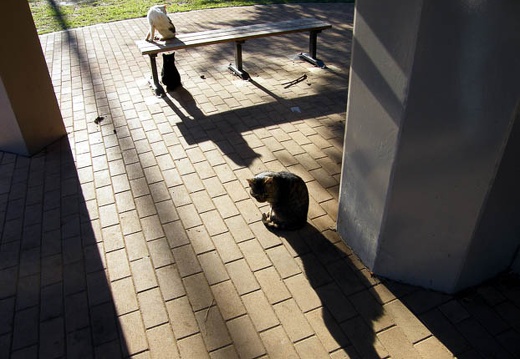 200710210743-DSCF3714.jpg