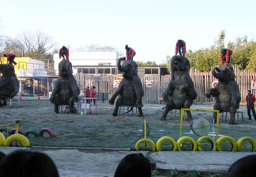 200801061522-DSCF4580.jpg
