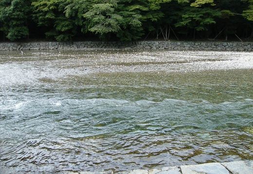 200809251310-DSCF7305.jpg