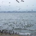 200812221112-DSCF0015.jpg