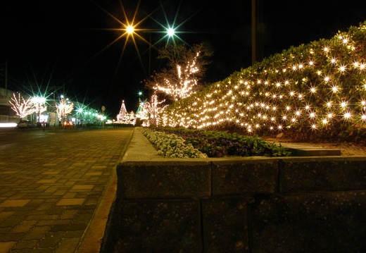 200901011939-DSCF0865.jpg