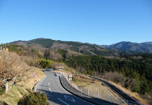 200901031510-DSCF1042.jpg