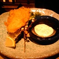 20090202203457-S21HT.jpg