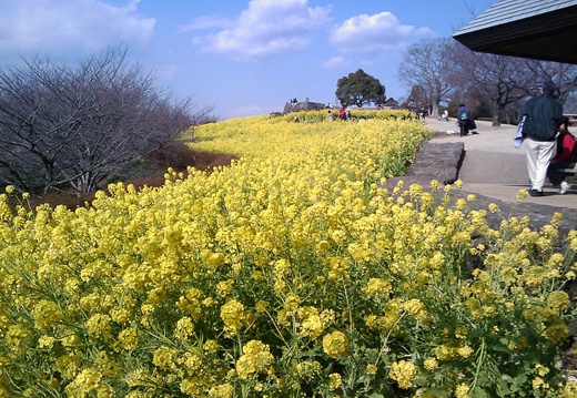 02.10 吾妻山公園、小田原城