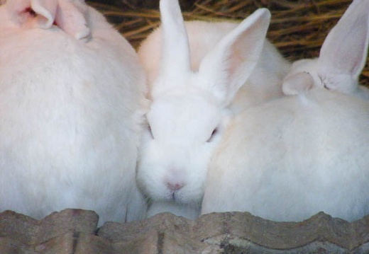 200903230659-DSCF2734.jpg