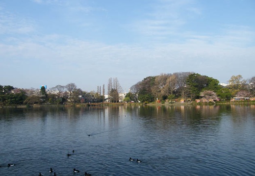 200904040653-DSCF3821.jpg