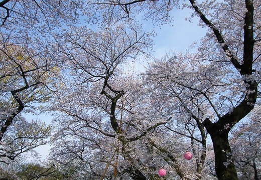 200904040745-DSCF3946.jpg