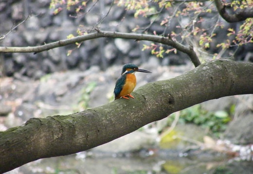 200904040832-DSCF4043.jpg