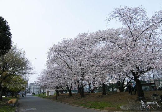 200904050752-DSCF4382.jpg