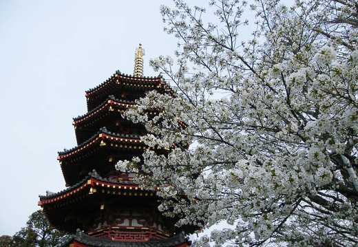 04.05 川崎大師