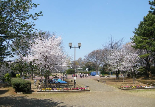 200904061046-DSCF4554.jpg