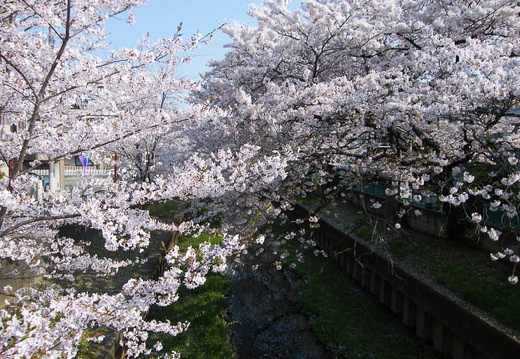 200904070819-DSCF5462.jpg