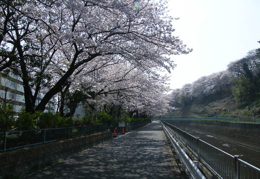 200904070927-DSCF5757.jpg