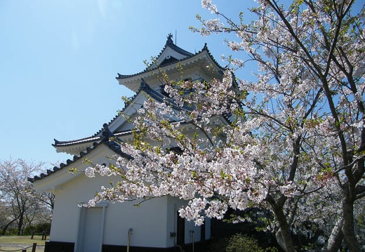 200904101323-DSCF6293.jpg