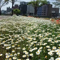 200904171155-DSCF0129.jpg