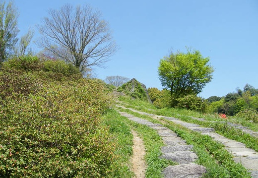 200904181123-DSCF7169.jpg