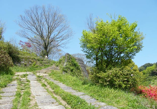 200904181127-DSCF7186.jpg