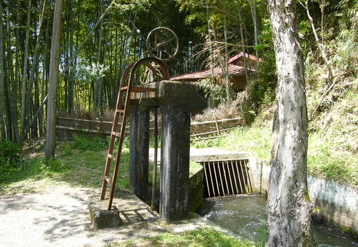 200904181131-DSCF7205.jpg