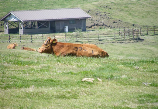 200904191106-DSCF7804.jpg