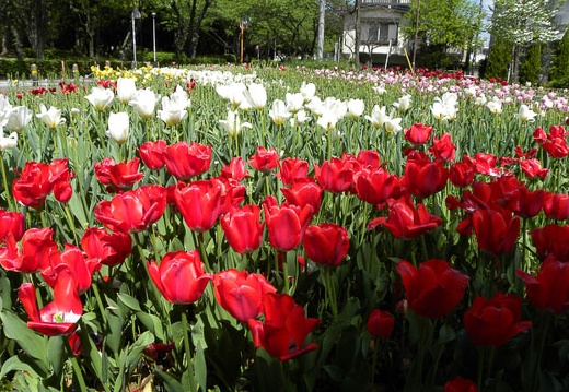 04.22 川崎
