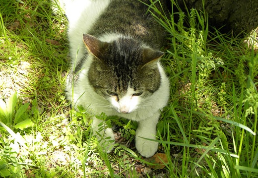 200904221029-DSCN0053.jpg