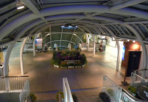 200904230057-DSCN0267.jpg