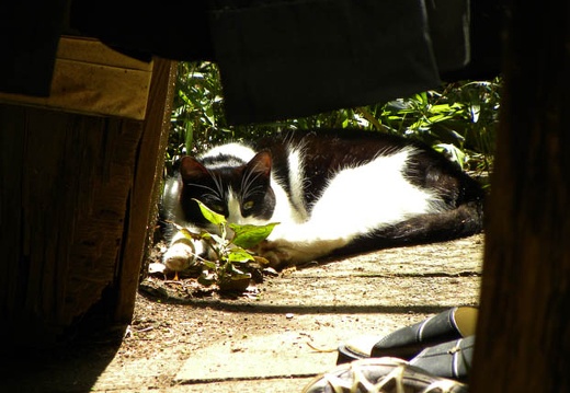 200904231010-DSCN0474.jpg