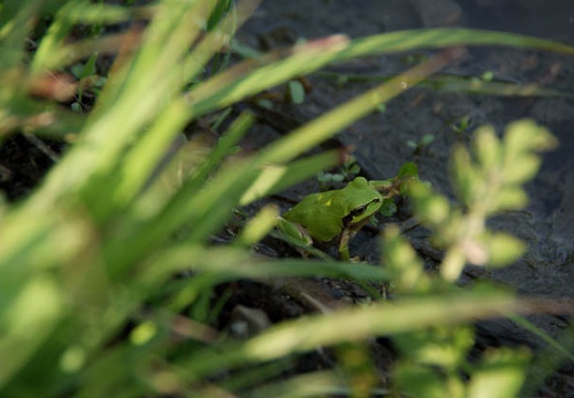 200905091517-DSC00147.jpg