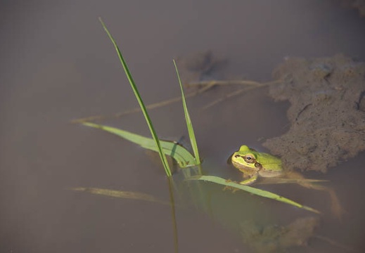 200905091519-DSC00153.jpg