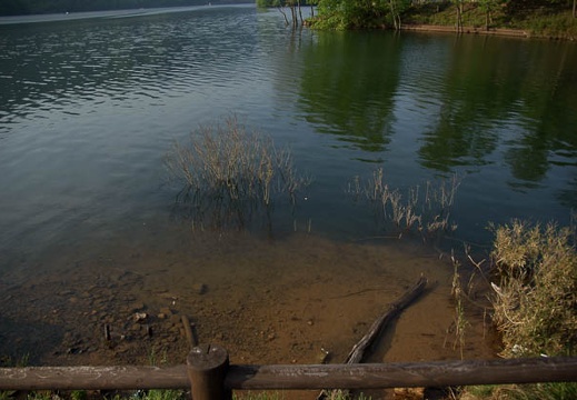 200905100624-DSC00518.jpg