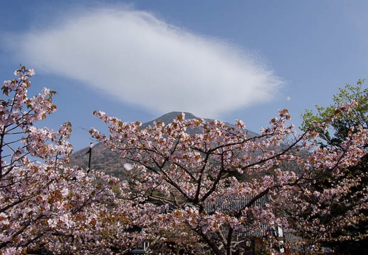 200905100732-DSC00597.jpg