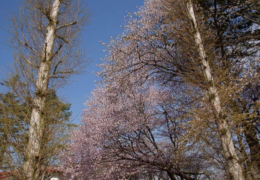 200905100733-DSC00602.jpg