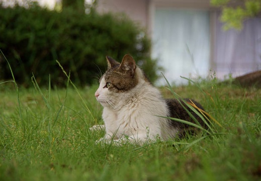 200905121210-DSC01180.jpg