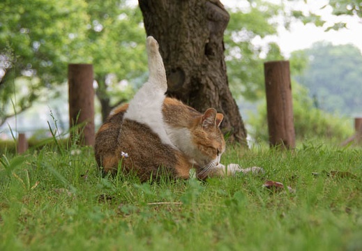 200905121217-DSC01212.jpg