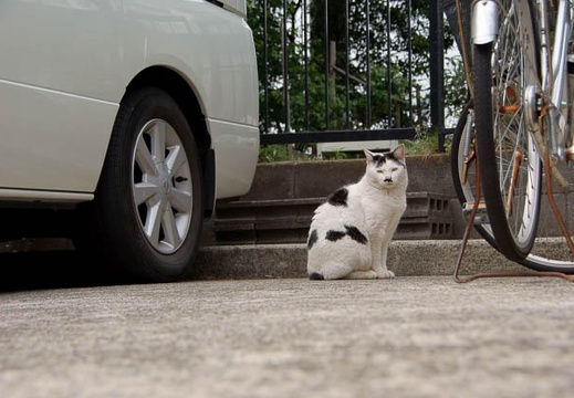 200905121356-DSC01445.jpg