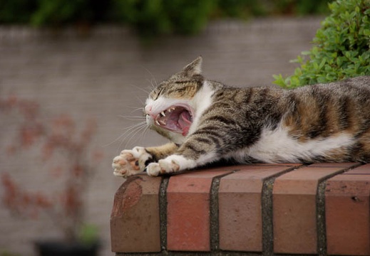 200905121407-DSC01466.jpg