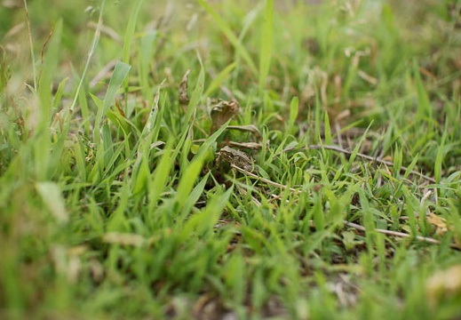200905151611-DSC01769.jpg