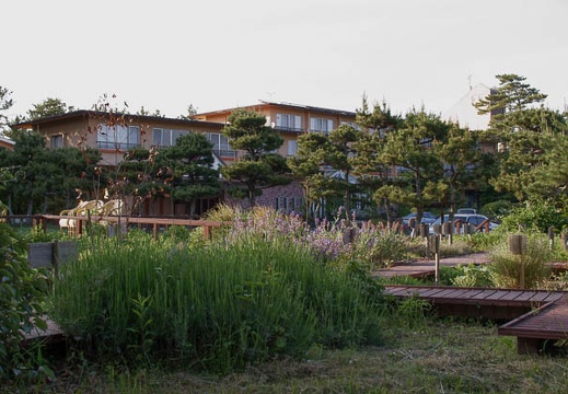 200905151700-DSC01911.jpg