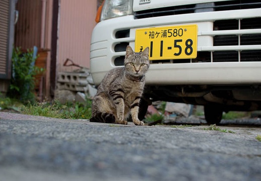 200905151719-DSC01933.jpg