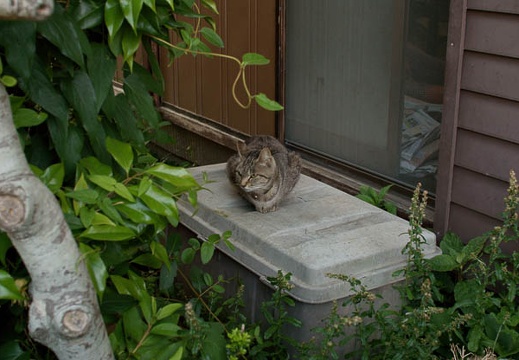 200905151730-DSC01959.jpg
