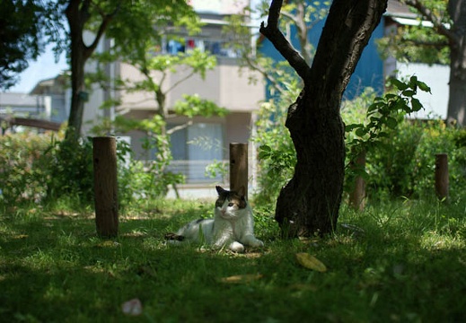 200905181103-DSC03397.jpg
