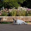 200905200738-DSC03518.jpg