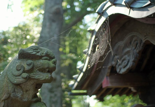 200905200806-DSC03584.jpg