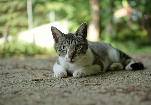 200905200851-DSC03738.jpg