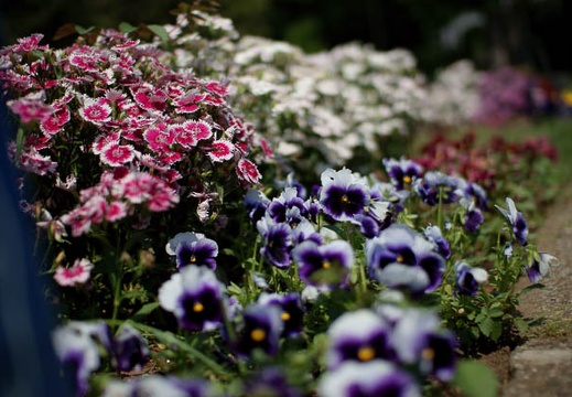 200905200903-DSC03764.jpg