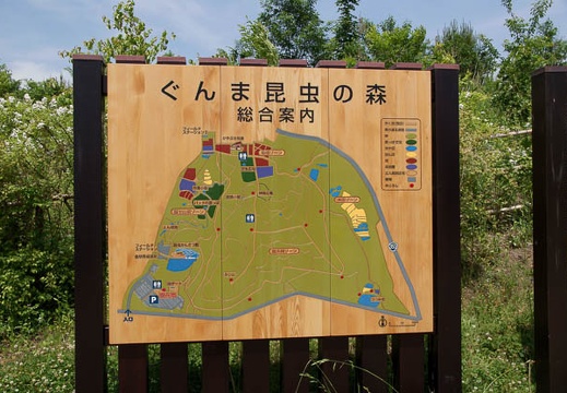 200905231245-DSC03939.jpg